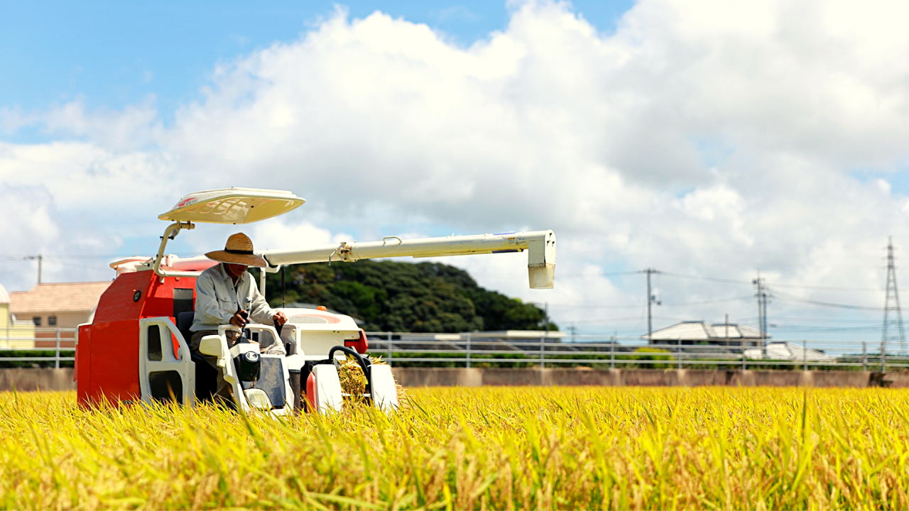 Rice Milling Machine