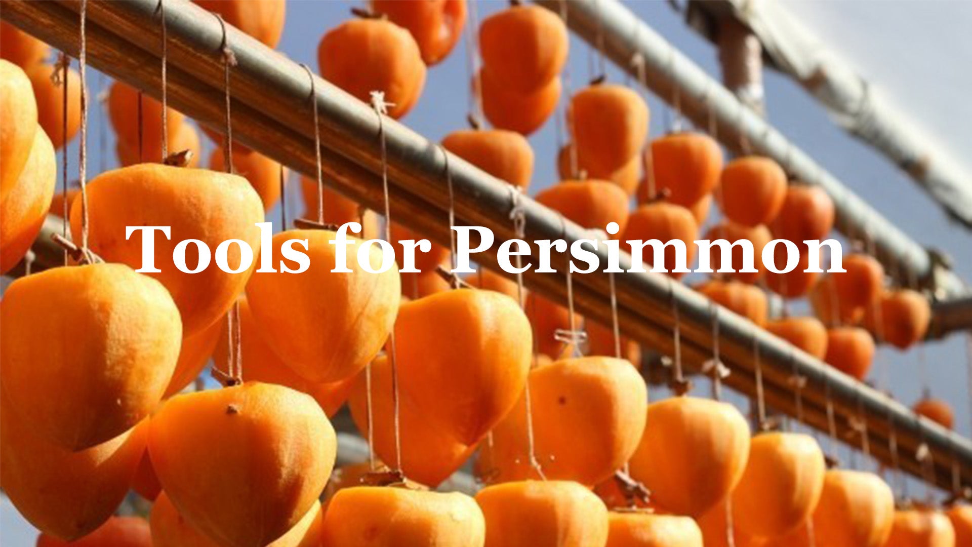 High-Efficient Persimmon Peeling Machine & Fruit Peeling Machine