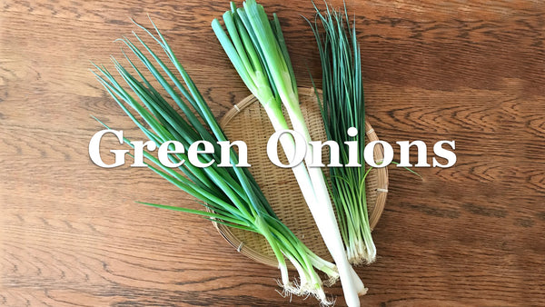 3 Recommended Products for Green Onion Scallion Farmers