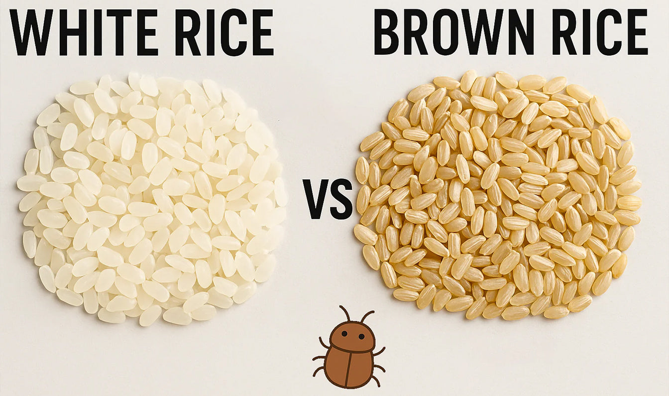Which is More Prone to Insect Damage? White Rice vs. Brown Rice