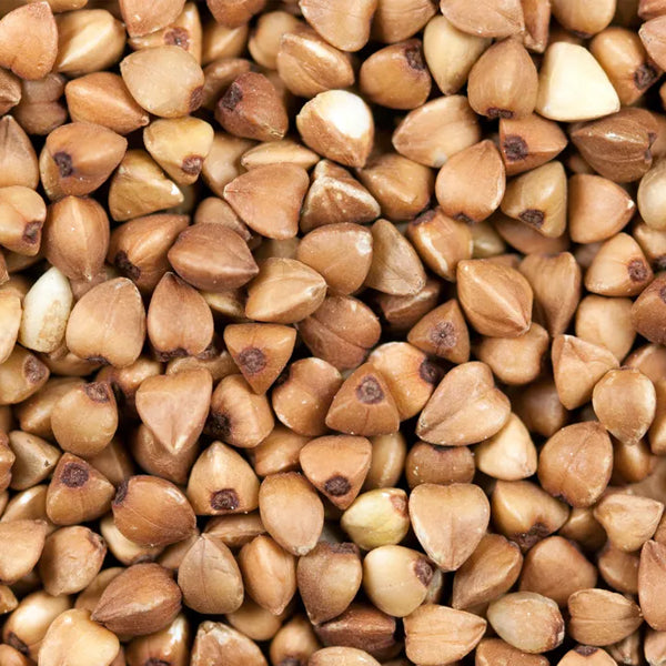 Buckwheat