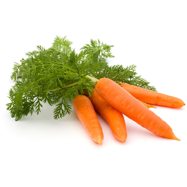 Carrot