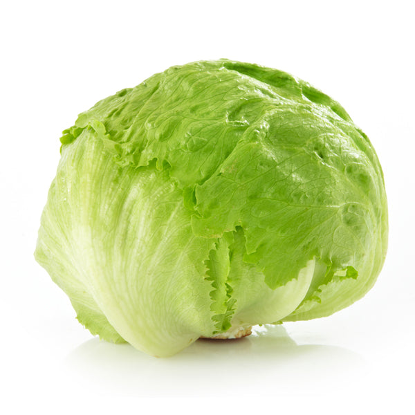 Lettuce
