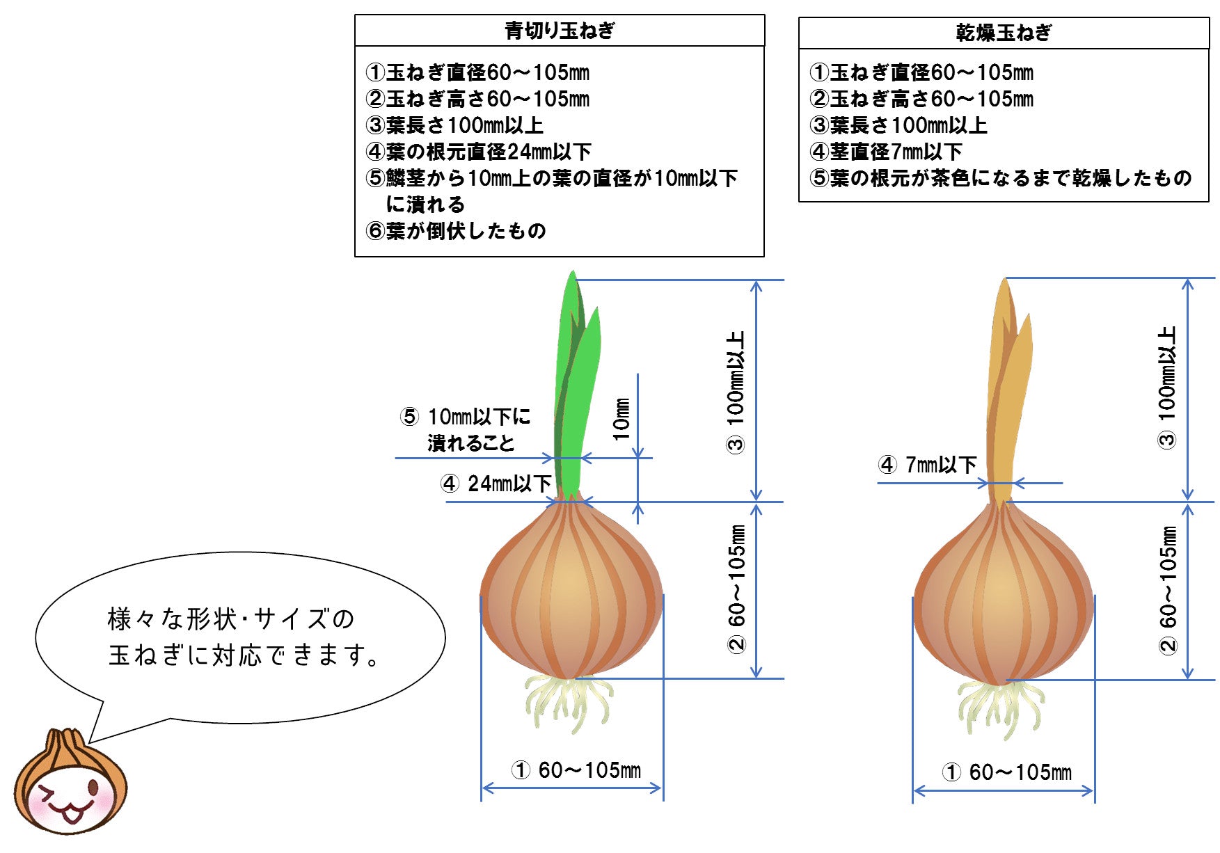 Suzutec Onion Roots and Leaves Cutting Machine RTC3600