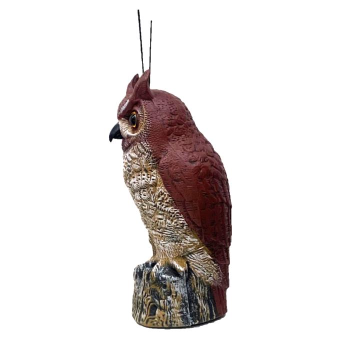 Asustar Pájaro Búho Espantapájaros