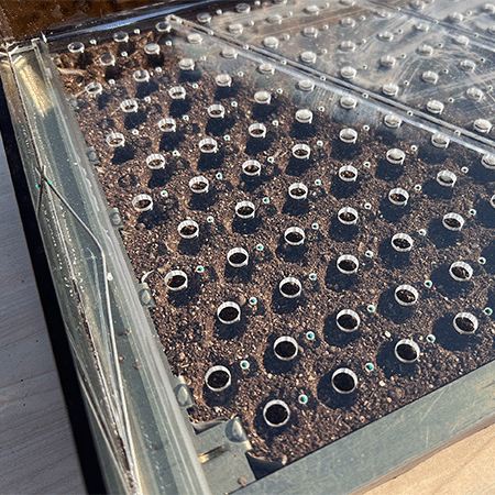 Sembradora de caída L (4,5 mm de diámetro)