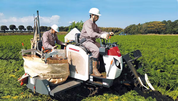 YANMAR Carrot Harvester HN114