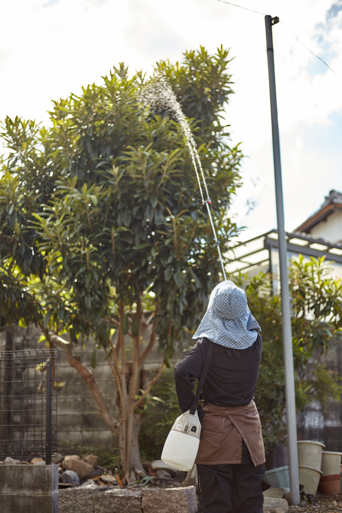 Pulverizador de jardinería a batería KOSHIN GT-D