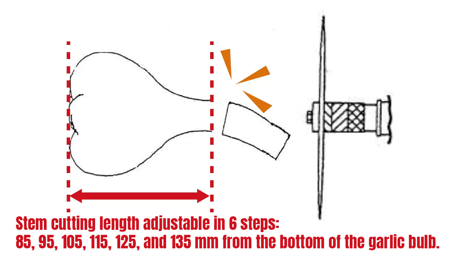 SASAKI Root Shaver for Garlic
