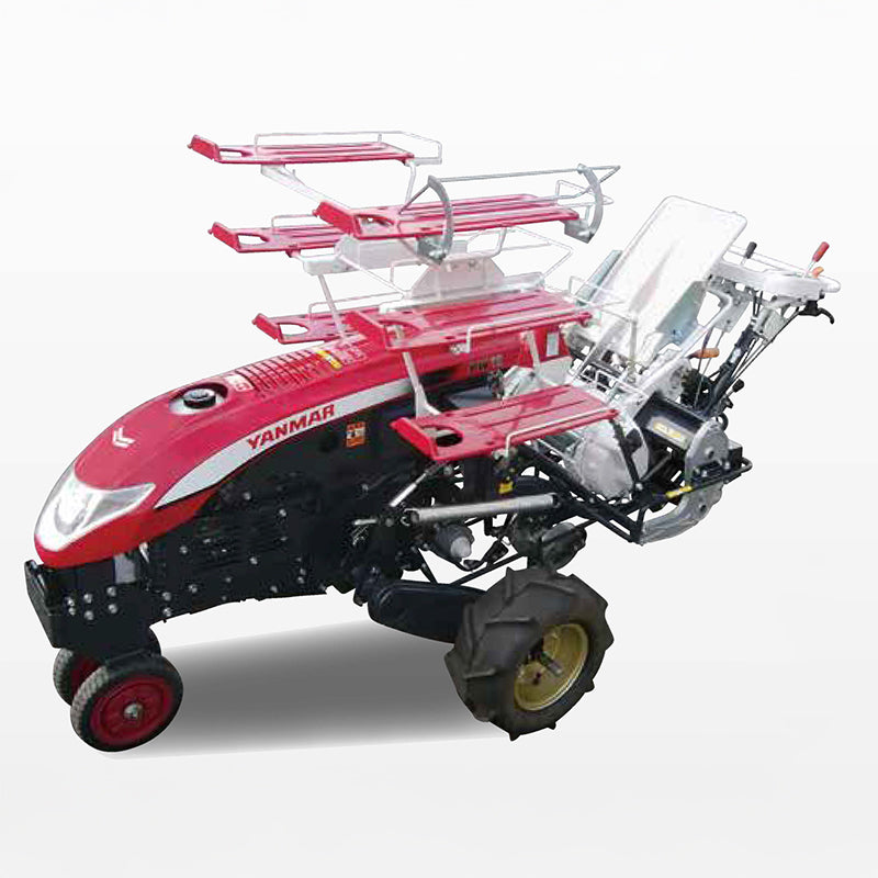 Trasplantadora automática de cebollas largas YANMAR PW10norte