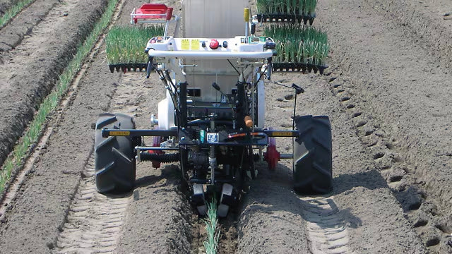 Trasplantadora automática de cebollas largas YANMAR PW10norte