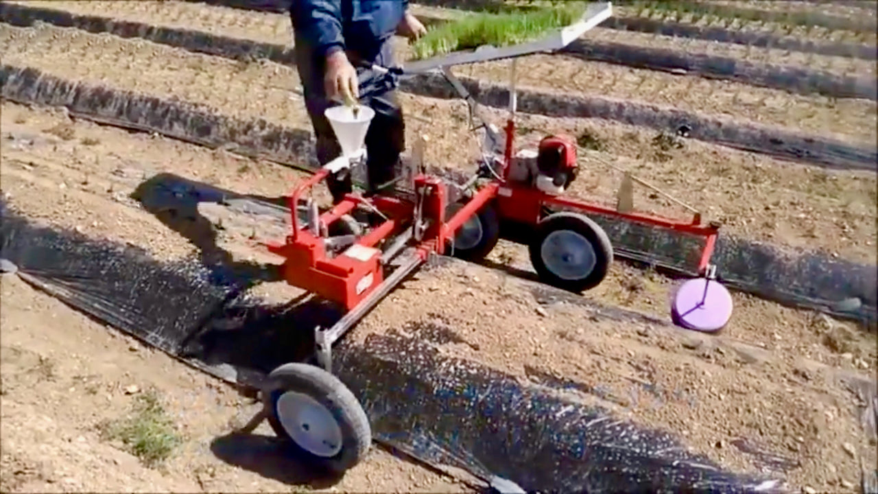 Minoru Semi Automatic Vegetable Transplanter VT-20