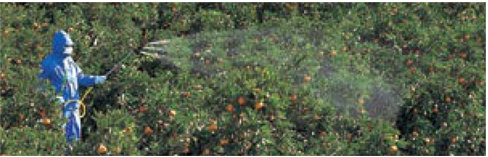 YAMAHO Kirinashi (Ultra Low-Drift) Sprayer for Fruit Tree N-KF-15B 141131 G1/4 1 nozzle