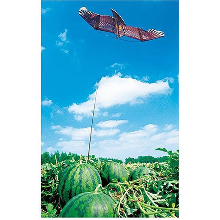 Scare Bird Fake Hawk Kite