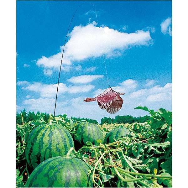 Scare Bird Fake Hawk Kite