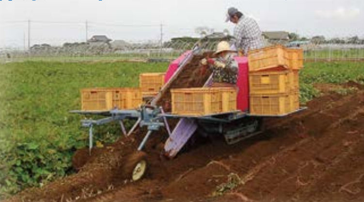 Niplo Sweet Potato Taro Harvester POTECARGO GRA650