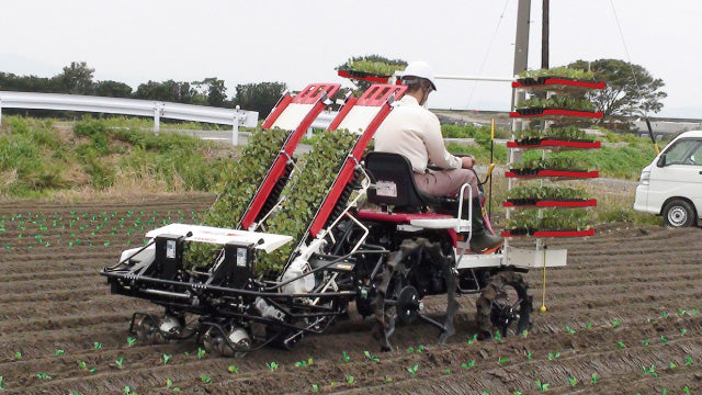 YANMAR Full Automatic Vegetable Transplanter PW20R-RS