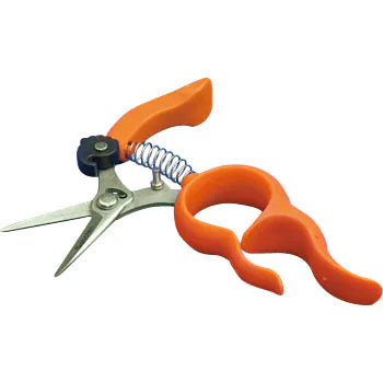 Saboten Grape Harvest Scissors 100mm B-2