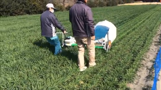 Recortadora de ruedas para cosechadora de hortalizas de hoja OCHIAI VPS-1210B