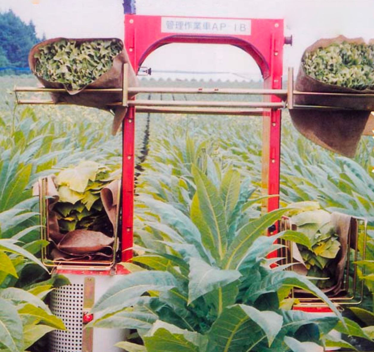 Tobacco Multipurpose Harvester AP-1CB