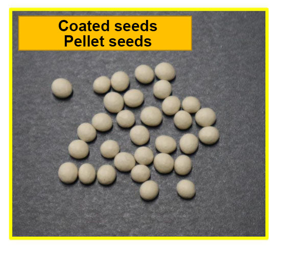 Minoru Handy Manual Seeder G-8 for Coated Seeds and 128 to 220 Holes Tray