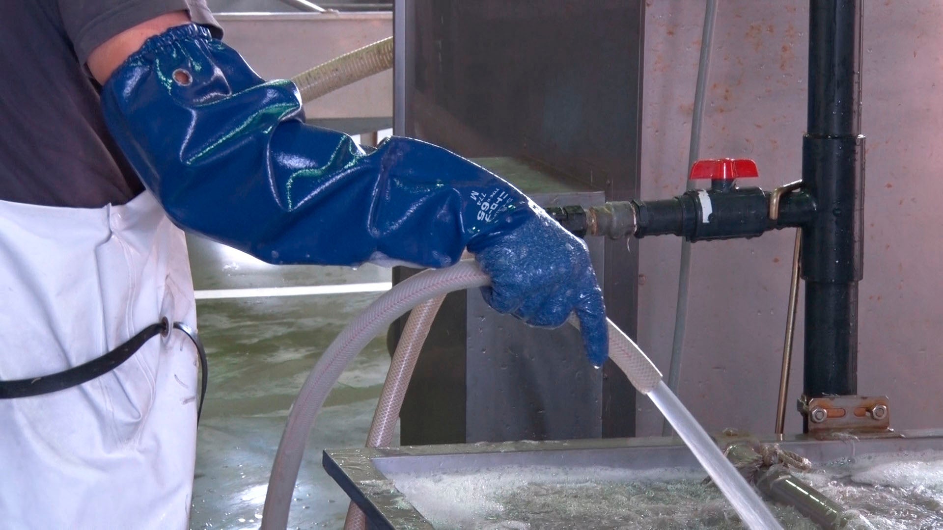 Gants longs SHOWA 774 en nitrile entièrement enduits (lot de 5 paires)