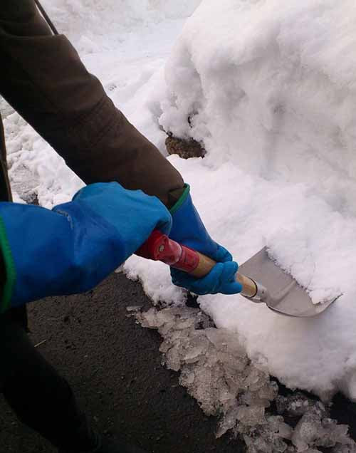 Gants thermiques respirants SHOWA 282 (lot de 5 paires)