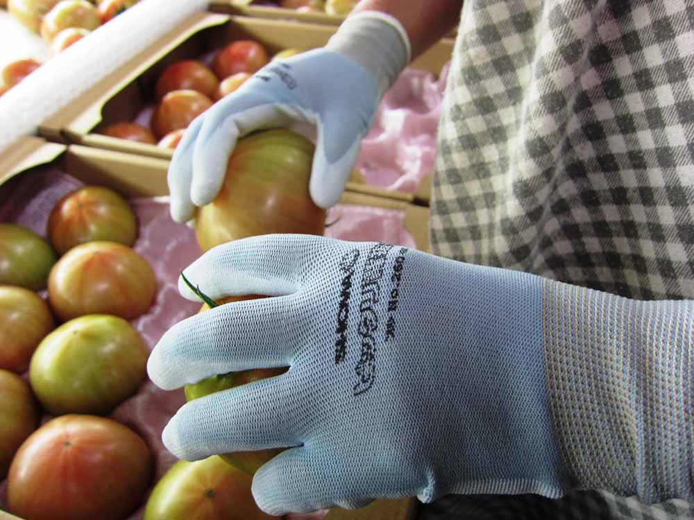 Gants SHOWA 260 respirants avec revêtement antidérapant (lot de 10 paires)