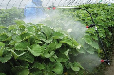 YAMAHO Sector Spray Erdbeer-Spardüse 121332 N-Y45-SM440 G1/4