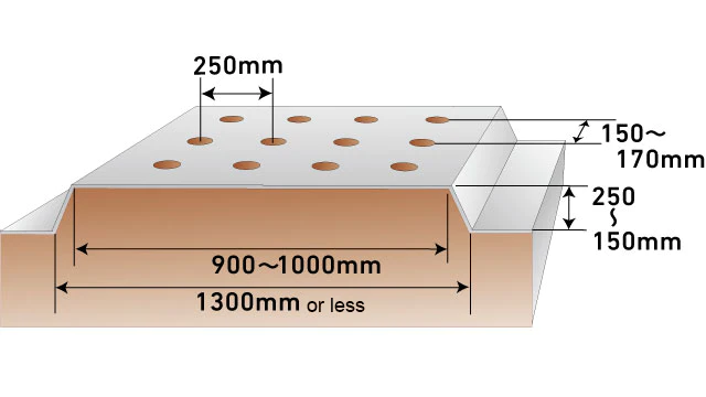 YANMAR Garlic Transplanter PH4R-GHA