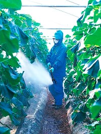 YAMAHO Both Side Carbon Nozzle 123518 NN-Y-6S G1/4