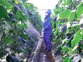 YAMAHO Kirinashi (Ultra Low-Drift) KS Vegetable Sprayer 142813 N-KS-11 G1/4 2-nozzles