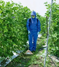 YAMAHO SUMMER-RACK MIERU #-6 (Herbicide Nozzle) 142069 N-KA-10R G1/4