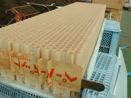 Paper Pot SO-1 for Sugar Beet 2 X 13 cm height 30 pieces per box (1400 holes/piece)