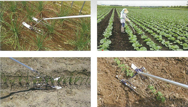 Herramienta de deshierbe en hilera de cultivador mágico Q-HOE para cebolla larga P046-BWNEA