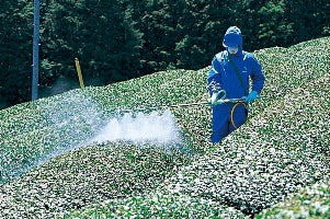 YAMAHO Thick Fog Spray Nozzle for Tea 122032 NN-C-6S G1/4 4-nozzles