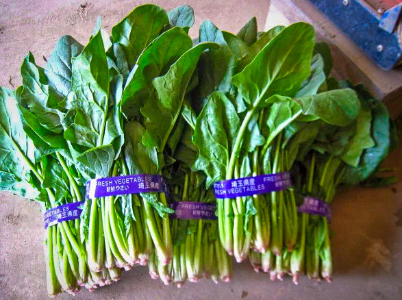 Tabanera 5000-V Electric Vegetable Binding Machine