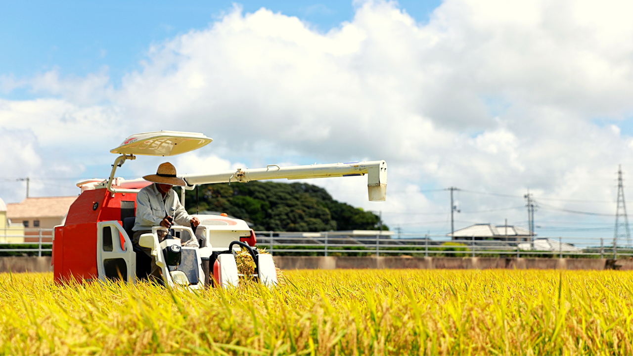 Rice Milling Machine and Rice Huller