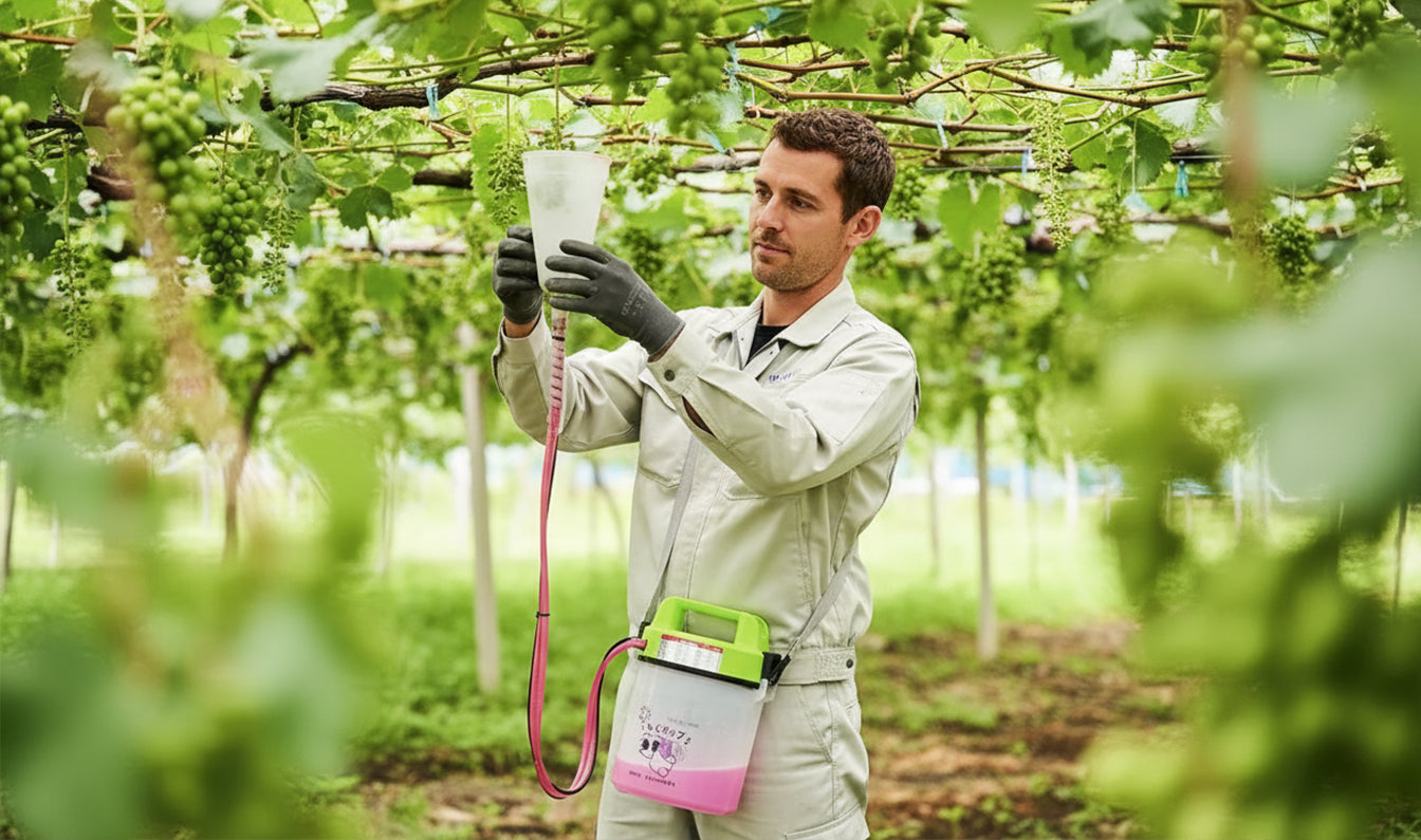 How Gibberellin Revolutionized Seedless Grape Cultivation – and How the Gibberellin Sprayer Makes It Even Easier