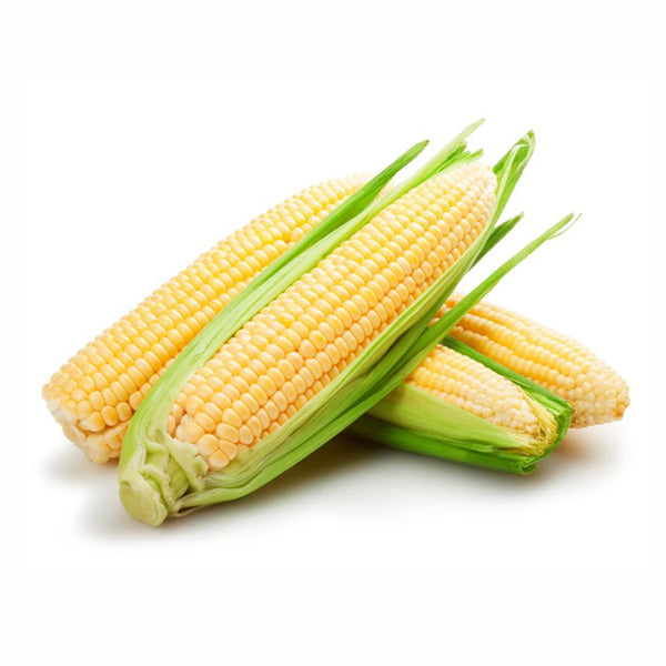 Corn