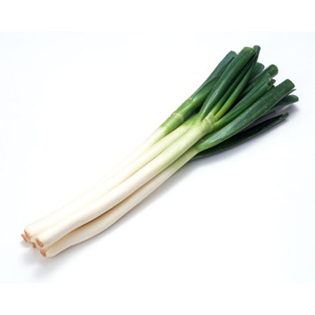 Long onion