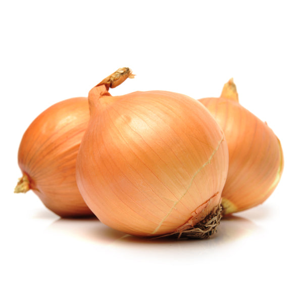 Onion