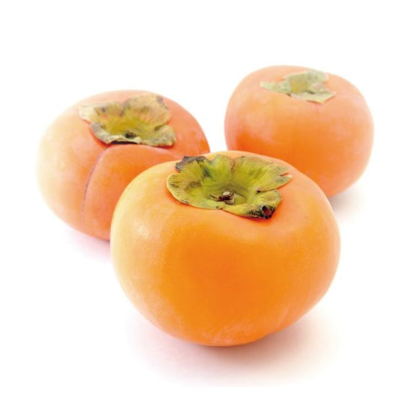 Persimmon