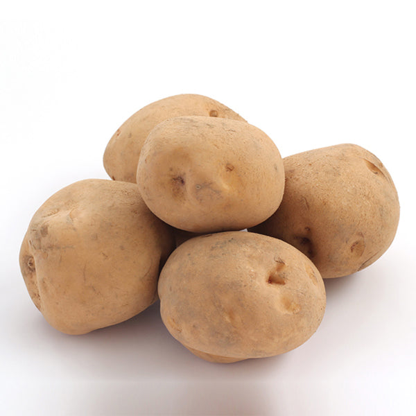 Potato