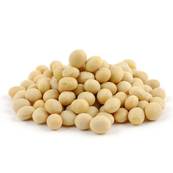 Soybean