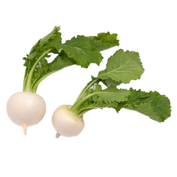 Turnip