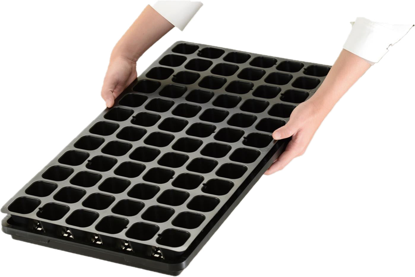 Plateau de déplacement pour plateau de pépinière alternatif, paquet de 50 pièces