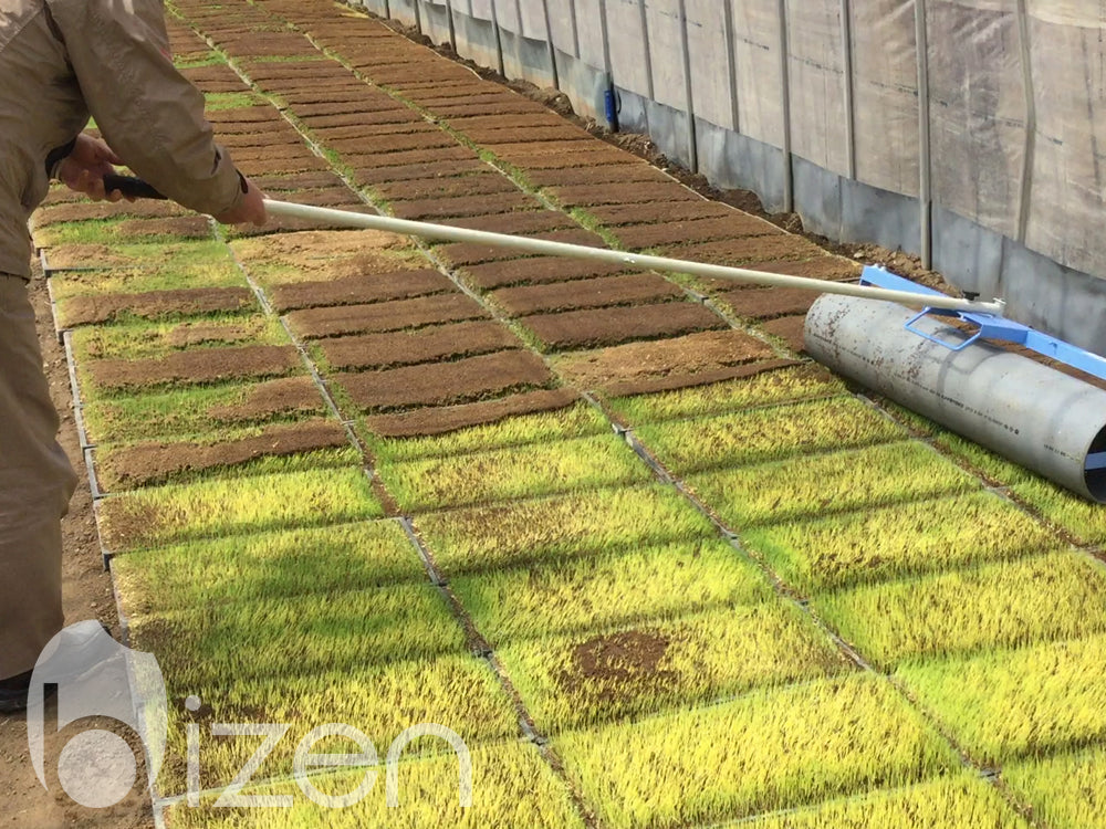 Rouleau de semis de riz sain BIZEN KBR-15W
