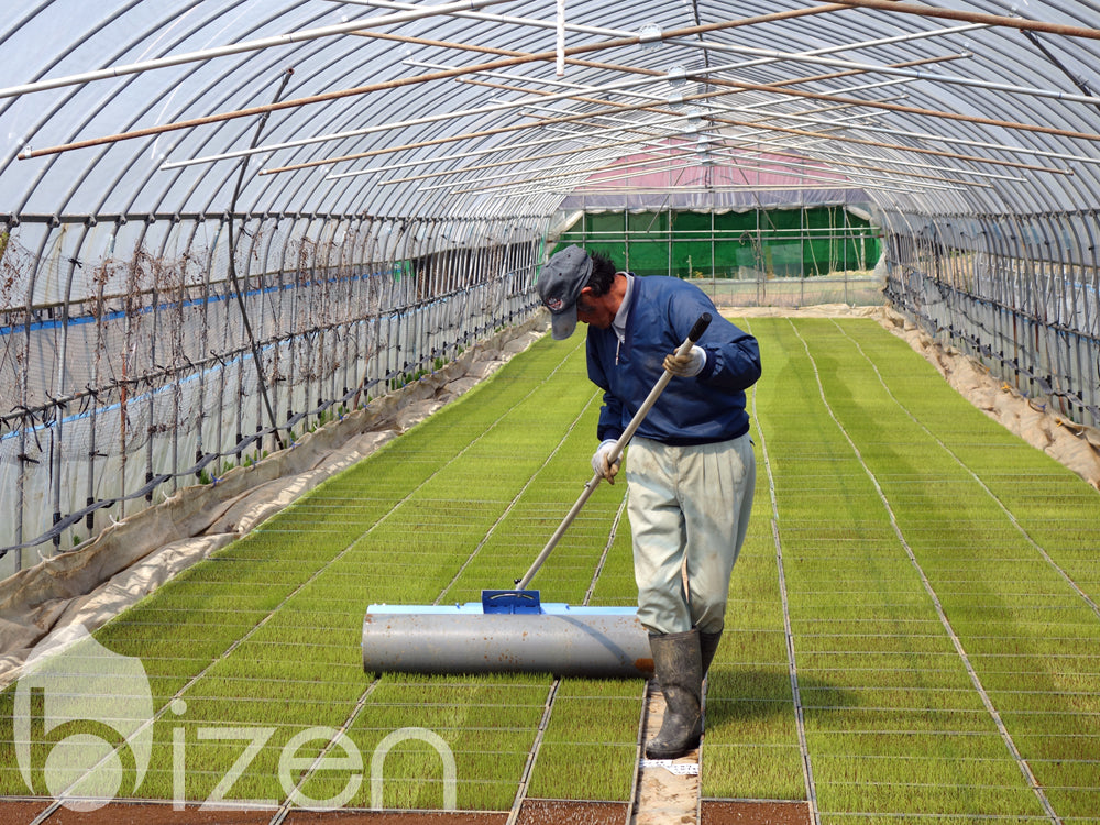Rouleau de semis de riz sain BIZEN KBR-15W