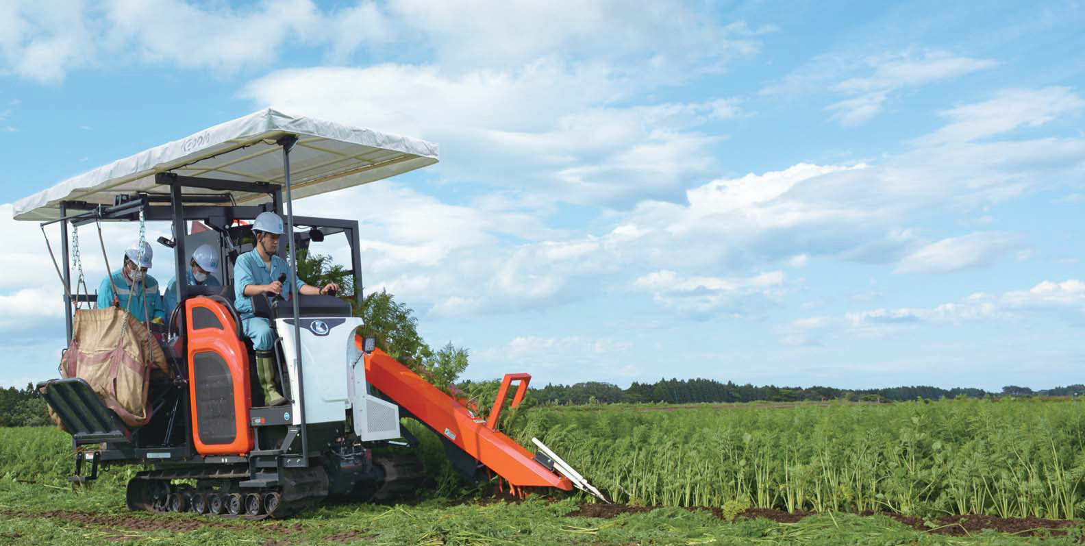 KUBOTA Carrot Harvester NS1450